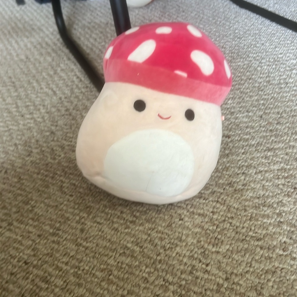 Rare Malcom squishmallow 8inch